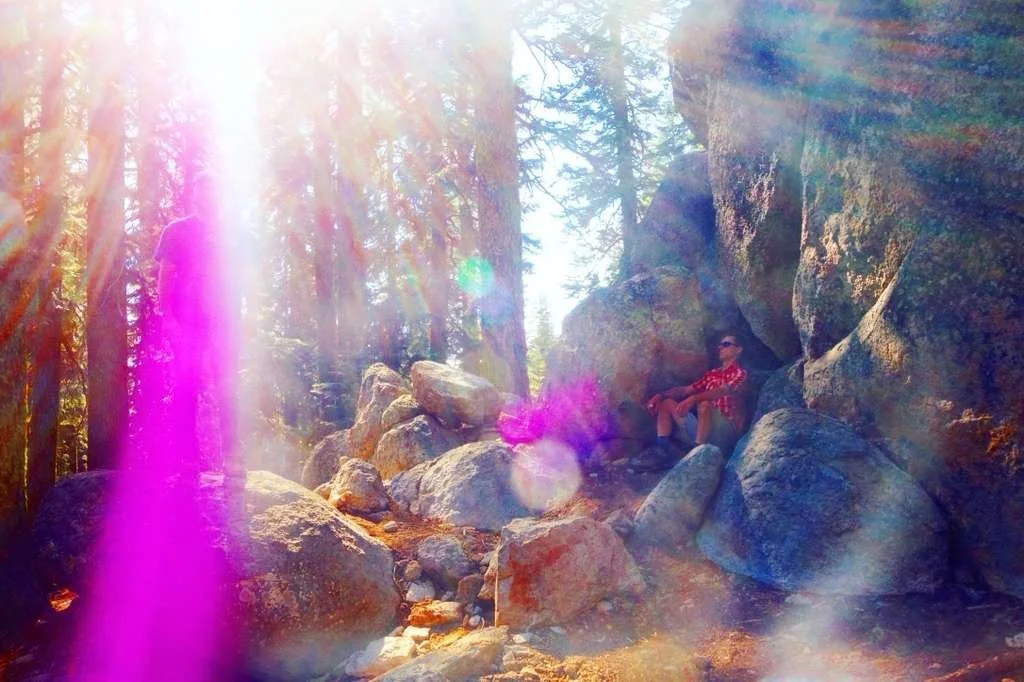 Your Body is a Stargate and the Final Alchemy of Light Sovereignty