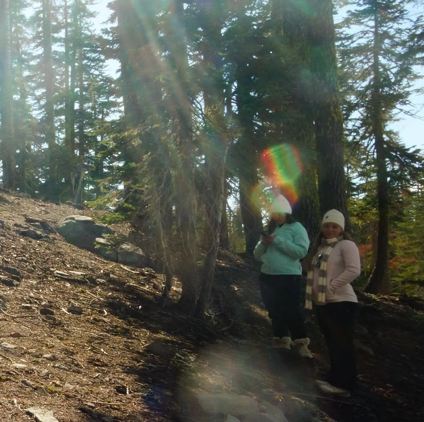 Ascended Masters in many forms of light 
Loving light love 

#Starseed or #144000 #mtshasta