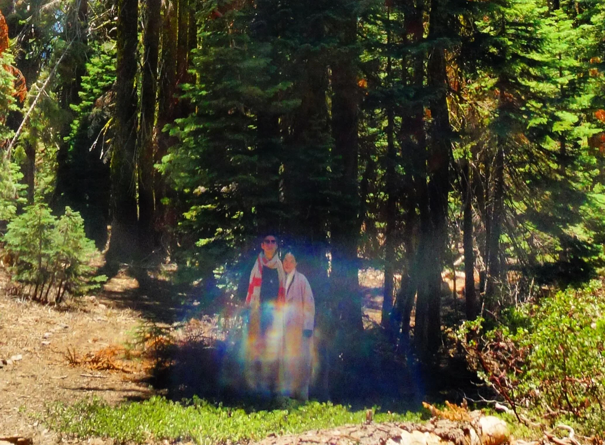 Rainbow Body Activation

Join me for the Sacred Rays of God Retreat 
Sept 11-14th 

In oneness 

💜

Paul of Venus 

#MtShasta #PaulOfVenus #Starseed #SpiritualRetreat

#Starseed or 144000