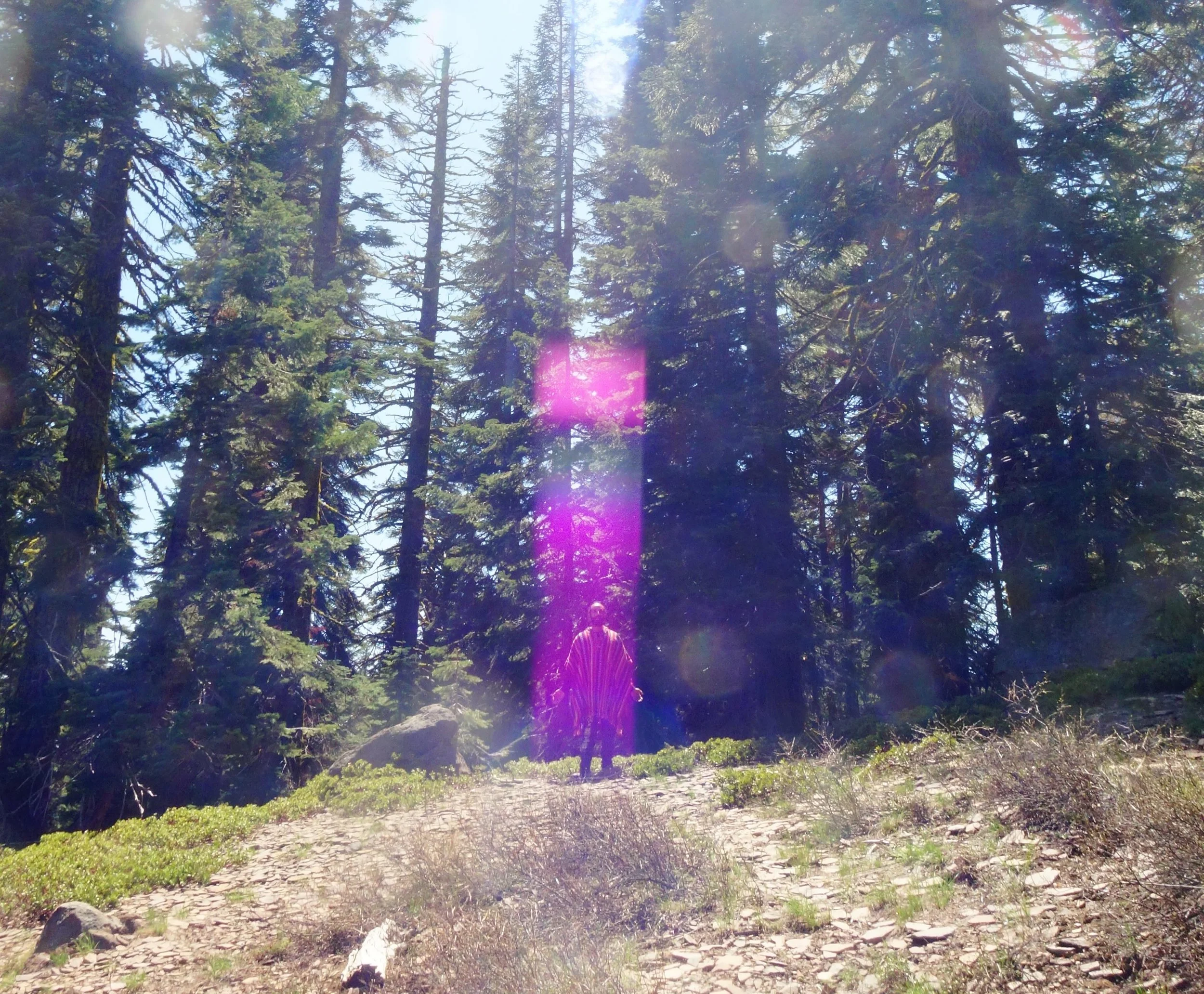 7 years ago, I hosted my first Saint Germain Retreat alongside my dear friend Troika Saint Germain.

7 years later, the Saint Germain Freedom of the Heart Retreat is blazing.

He has called the ones for this mission.

For the first time, I am offerin