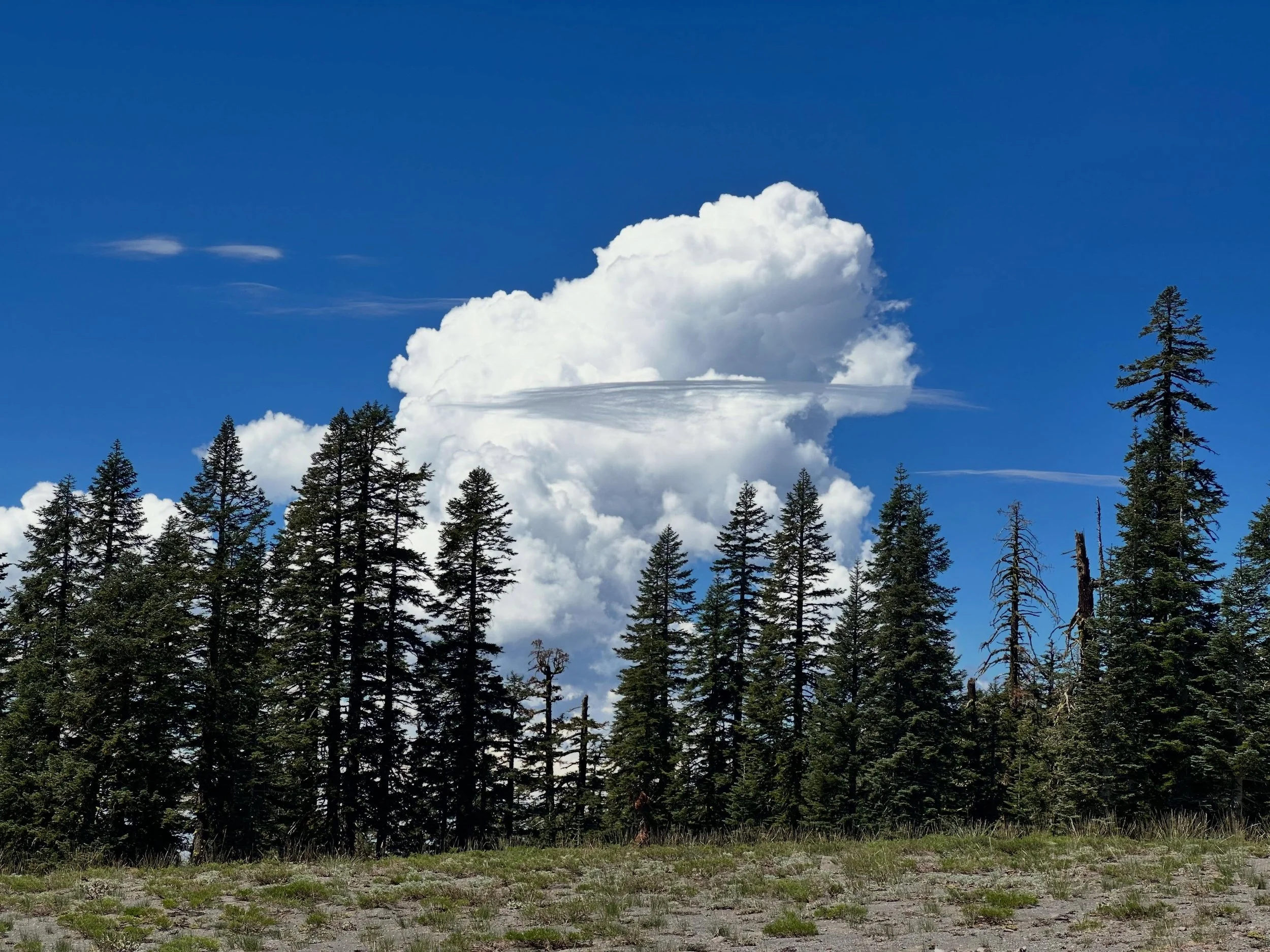 Sirian light ships over Mt Shasta | everything you think is real is about to disappear | 

💜

Paul of Venus 

Join me for lions gate 8/8 and 8/9

#MtShastaSpiritualTours

#MtShastaRetreat

#mtshastaguide
