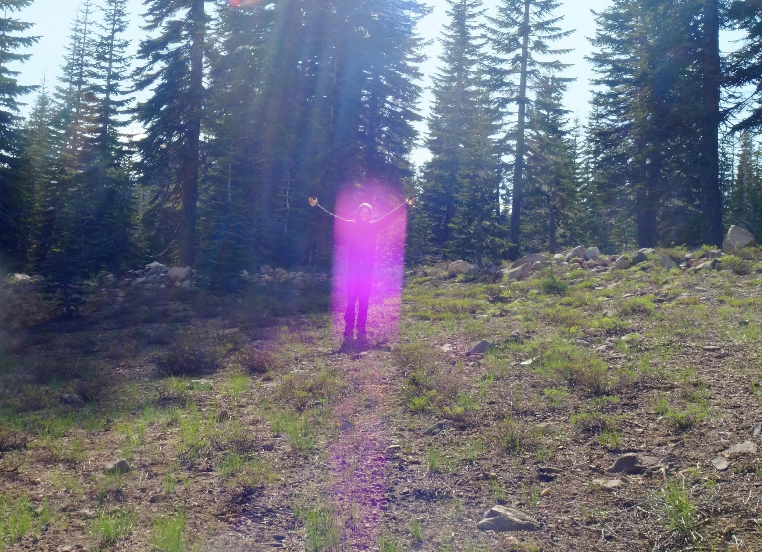 The Saint Germain Freedom of the Heart Mission 
2026 

May you be the rainbow bridge into the New Earth 

💜

Paul of Venus 

#MtShastaSpiritualTours

#MtShastaRetreat

#starseed