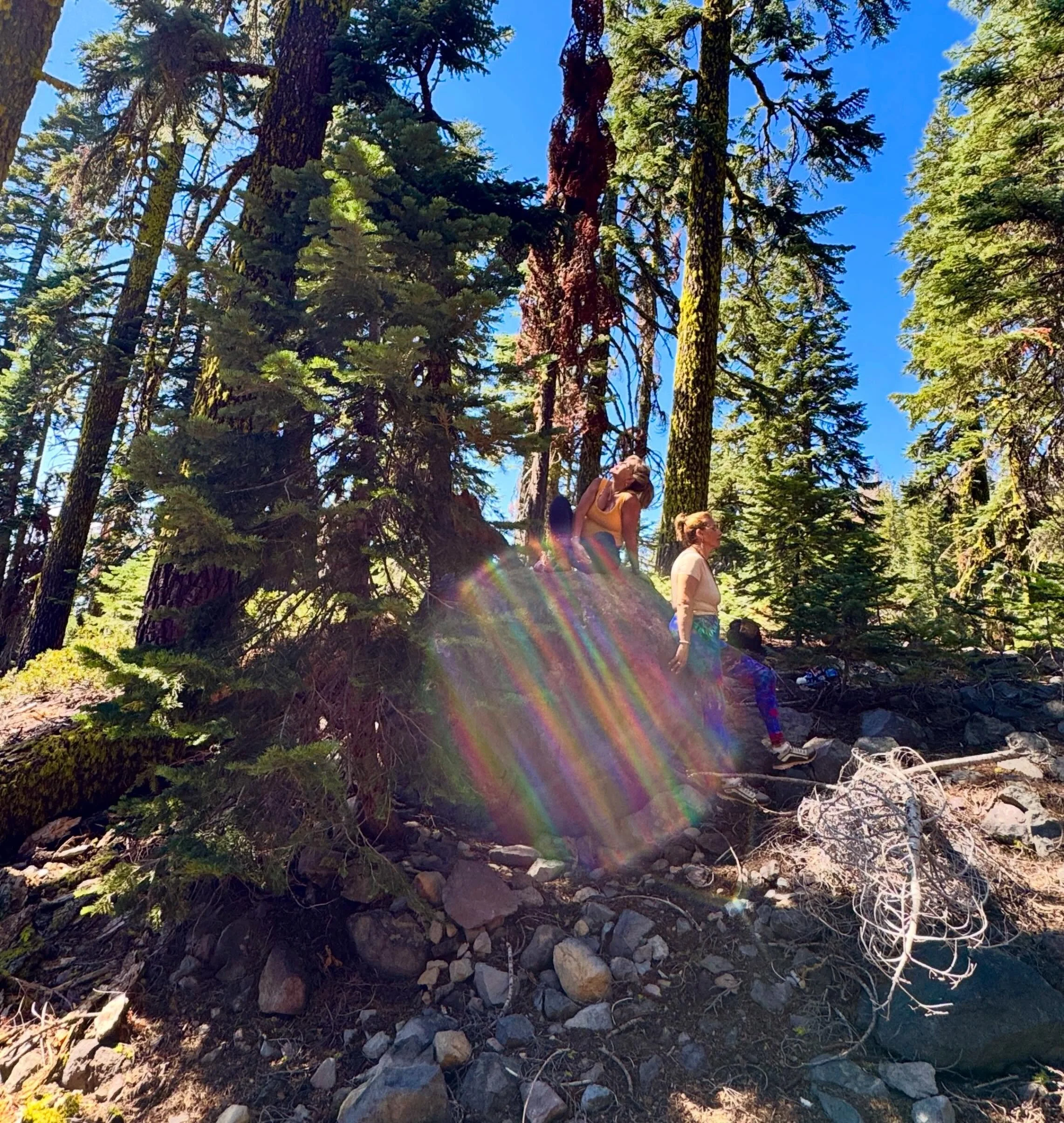 Sanat Kumara Venusian Ascended Master transmits  from the Galaxy Stargate on Mt Shasta | the realms of true love presence | 

🩵💛🩷

Paul of Venus 

#MtShasta #PaulOfVenus #Starseed #spiritualretreat