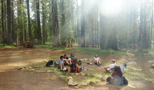 Majestic Retreat Mt Shasta: A Luxury Log-Home Getaway