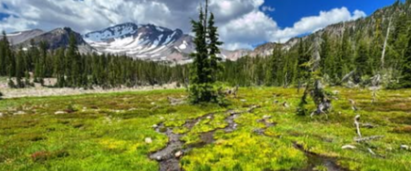 Energy Transmission Healing: Raise Your Vibration at Mount Shasta