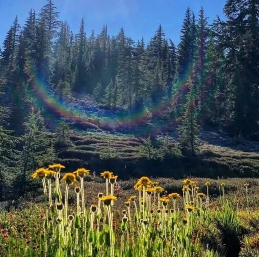 Mount Shasta Spiritual Retreat: Awaken Higher Consciousness