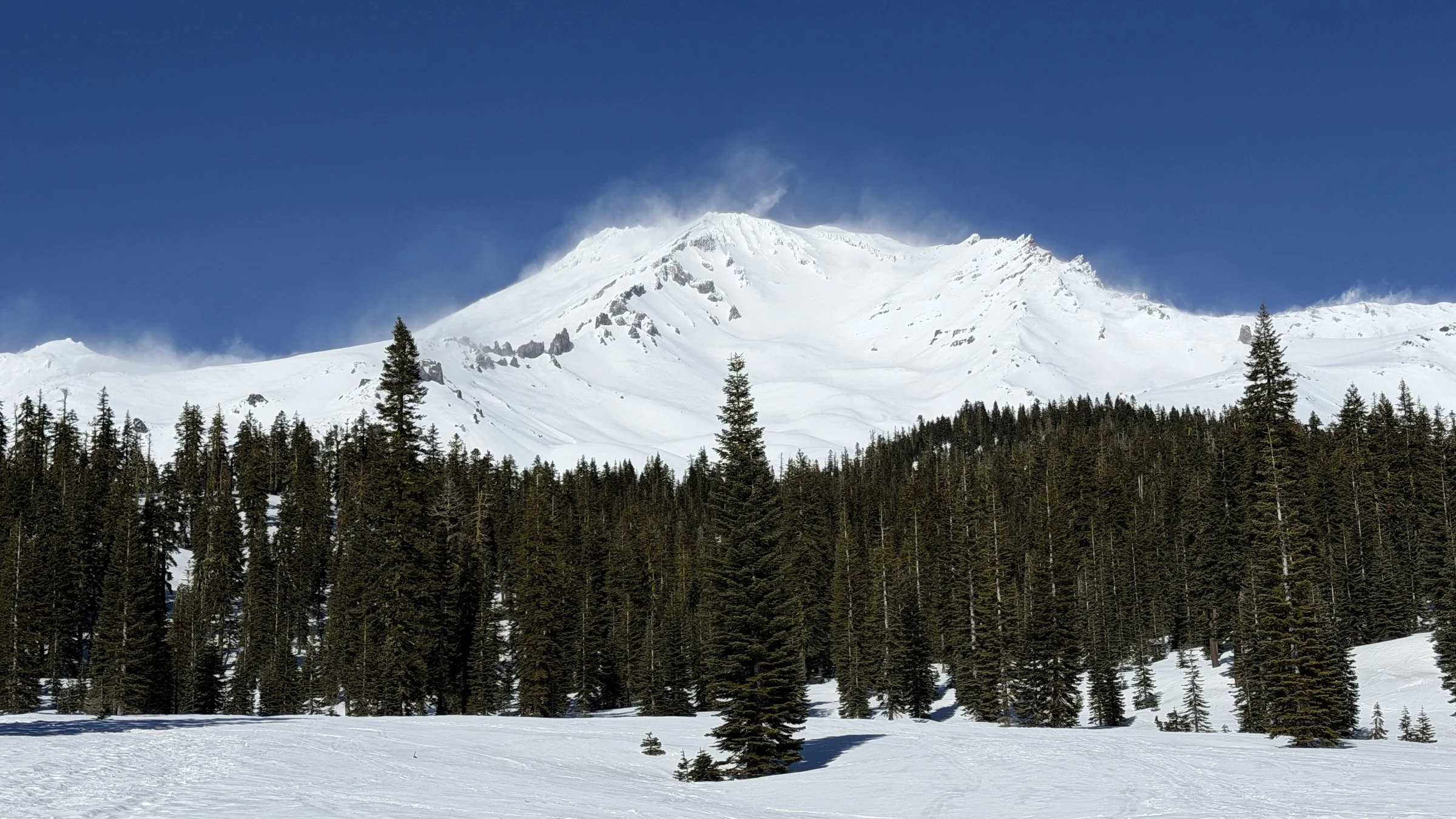 The Venus Retreat on Mount Shasta