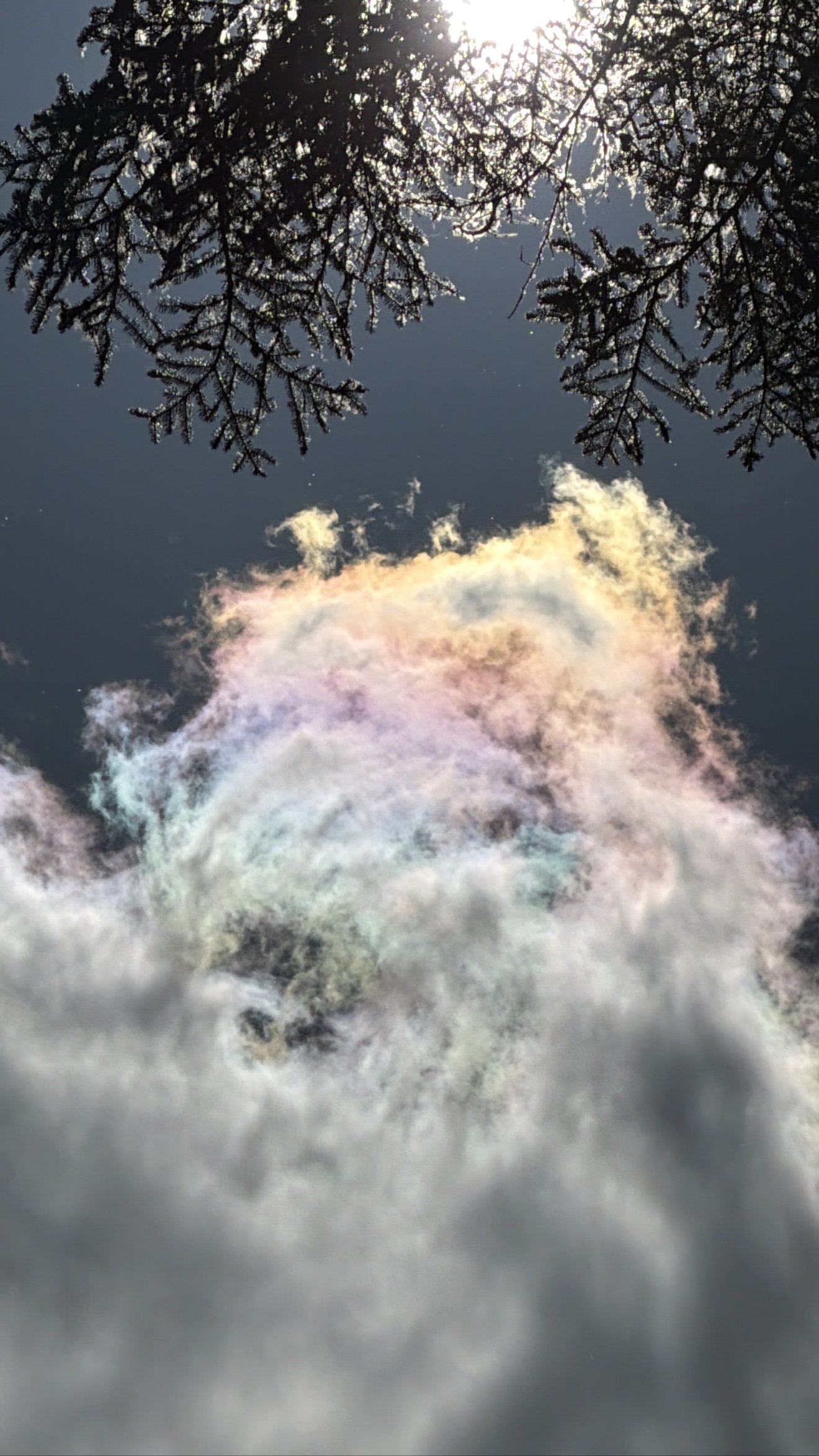 What Are the Sacred Rays of God?