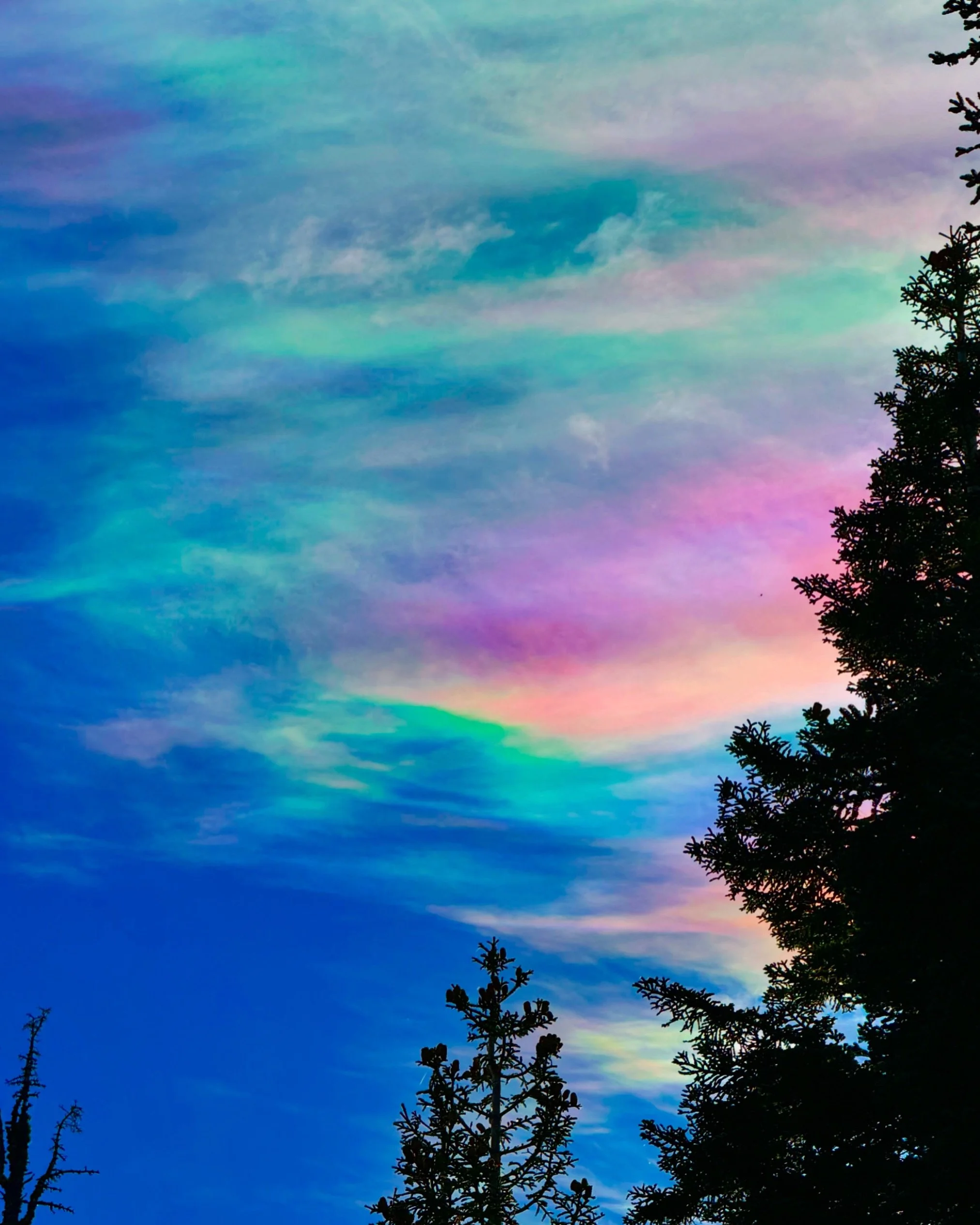 On Mt Shasta the eternity I open 

| the realms of God are here | 

Prepare yourself 

💜

Paul of Venus 

#mtshastaspiritualtours 

#mtshastaretreat #starseed 

#mtshastaguide  #lightworker