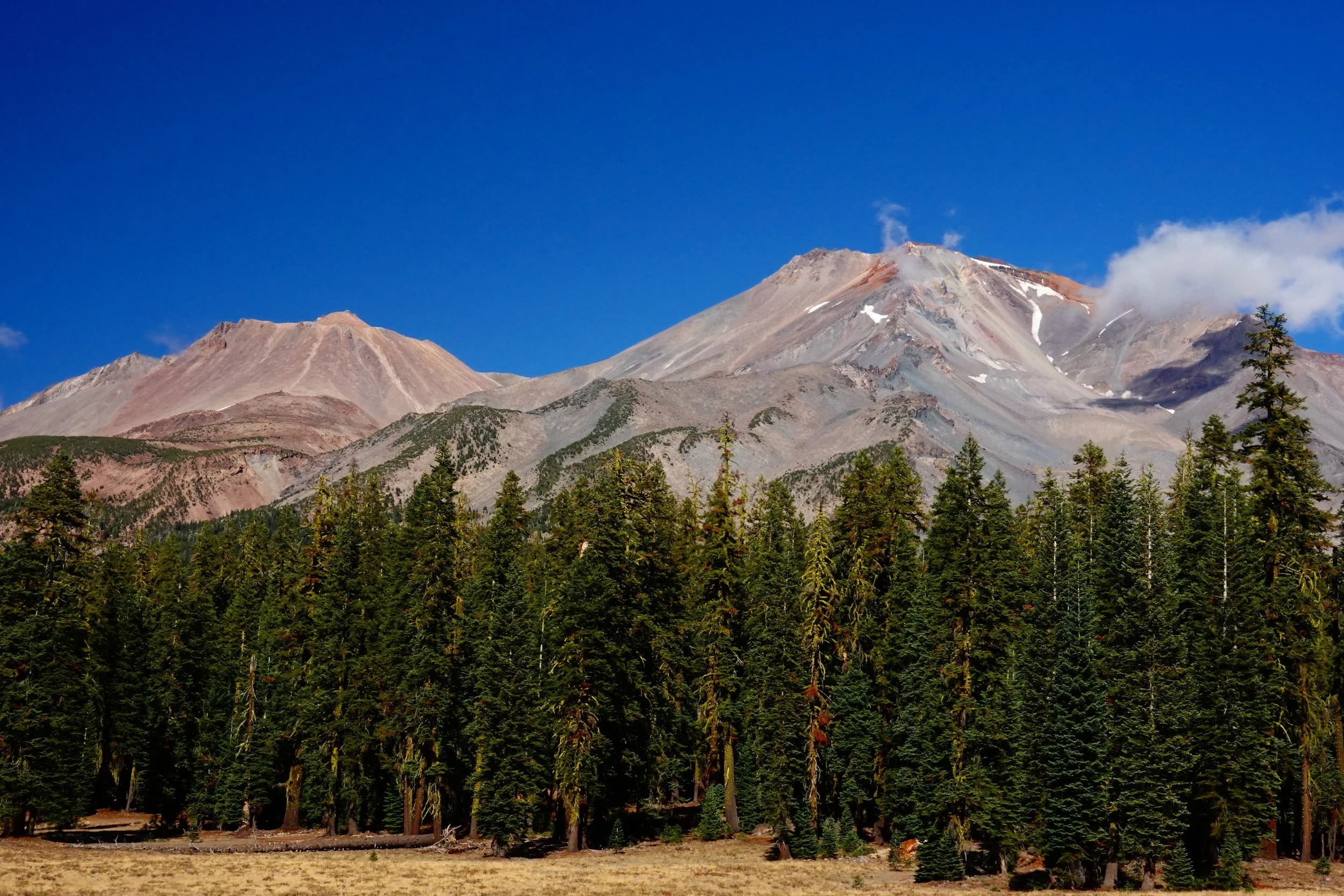 When there is a love inside of you 
and it&rsquo;s the only light left 
Your plasma flows in 144 frequencies of love 

💜

Paul of Venus 

#lightworker #starseed #mtshasta #ascension #paulofvenus
