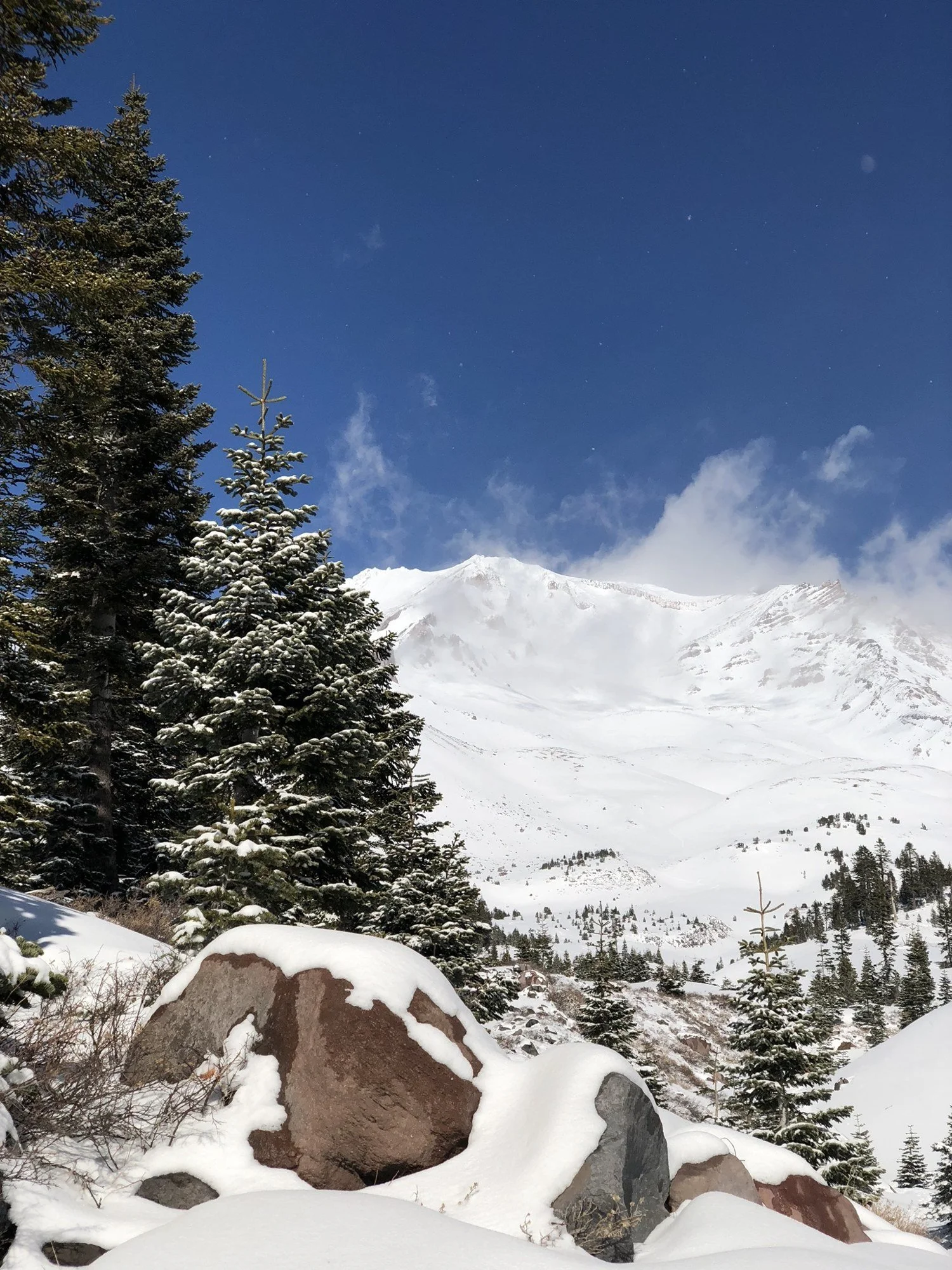 O Monte Shasta coberto de neve sobre a floresta de pinheiros no inverno