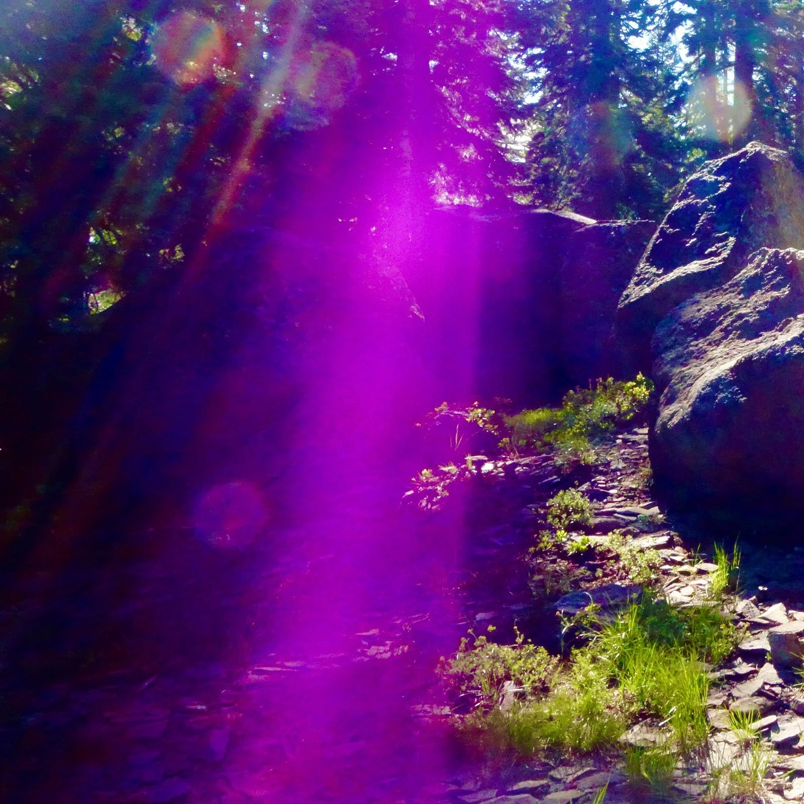 Sacred Rays Integration Session with Paul of Venus