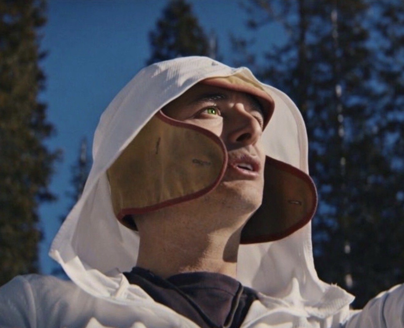 Paul of Venus in the forest of Mount Shasta
