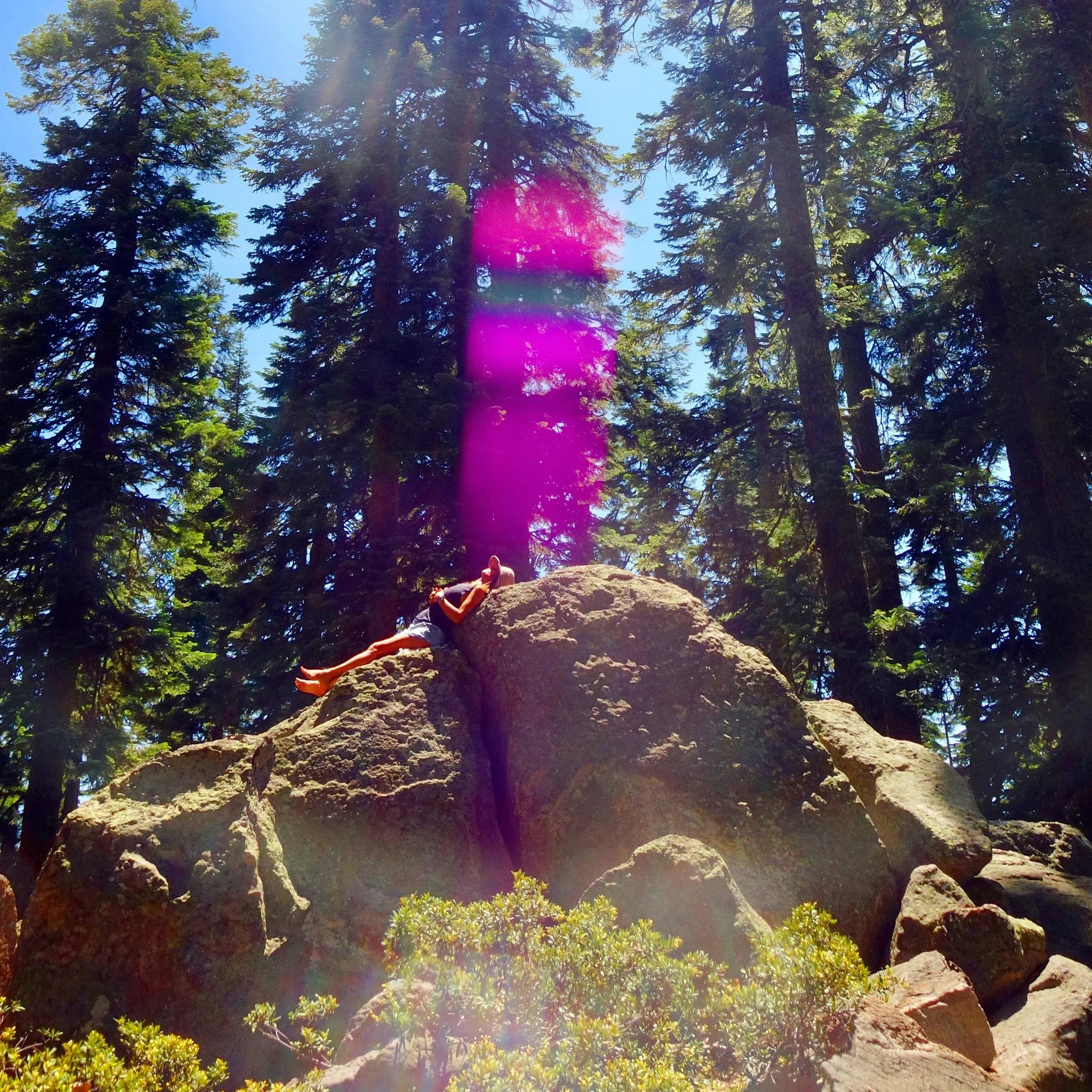 Crystal Spine — Shambala and Structural Truth