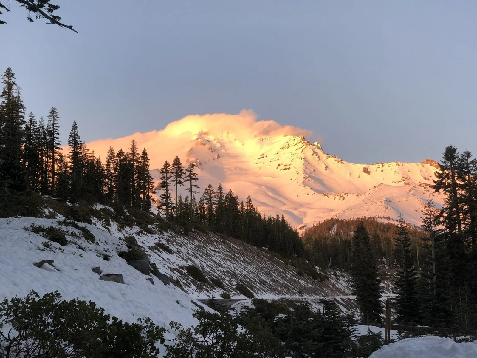 Golden alpenglow lighting the snowy face of Mount Shasta above a winter forest