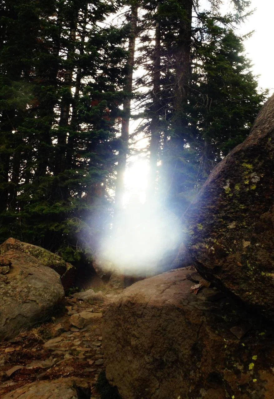 photo_2026-01-20 10.52.39 PM.jpeg