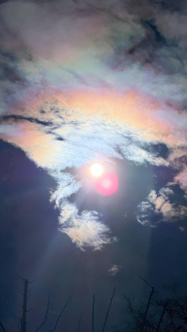 photo_2026-03-19 2.09.06 PM.jpeg