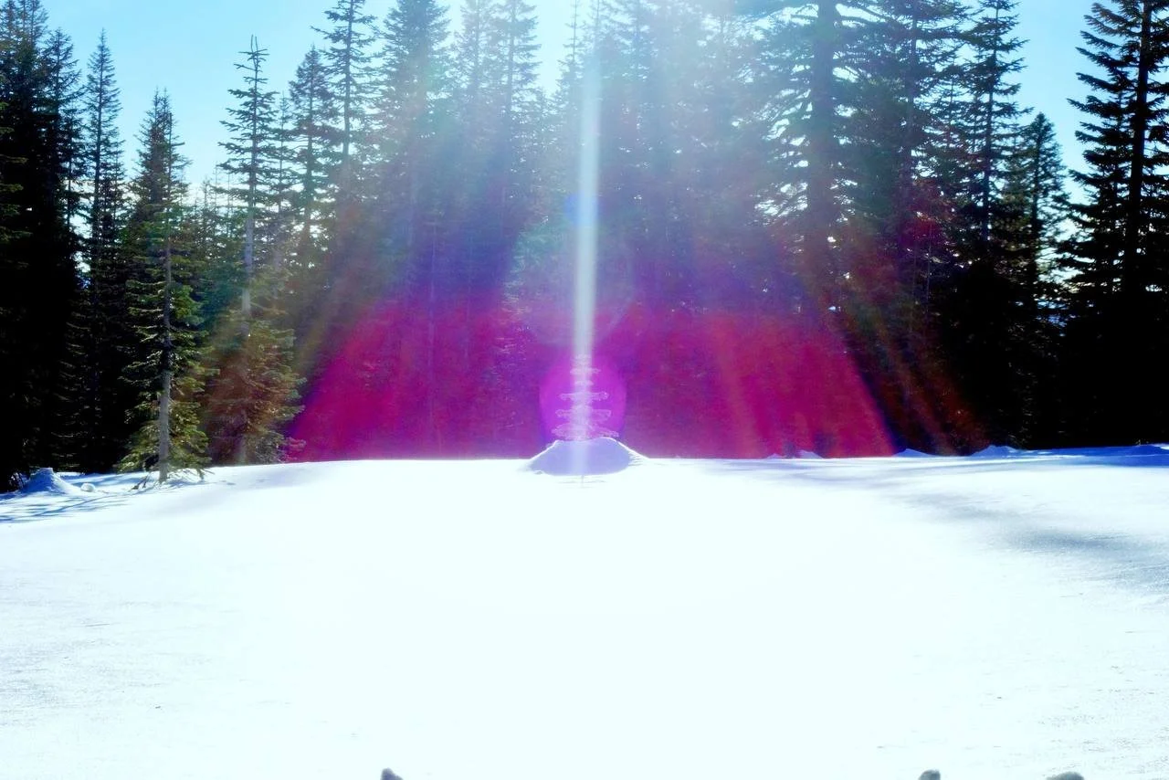 photo_2025-09-25 12.15.27 PM.jpeg