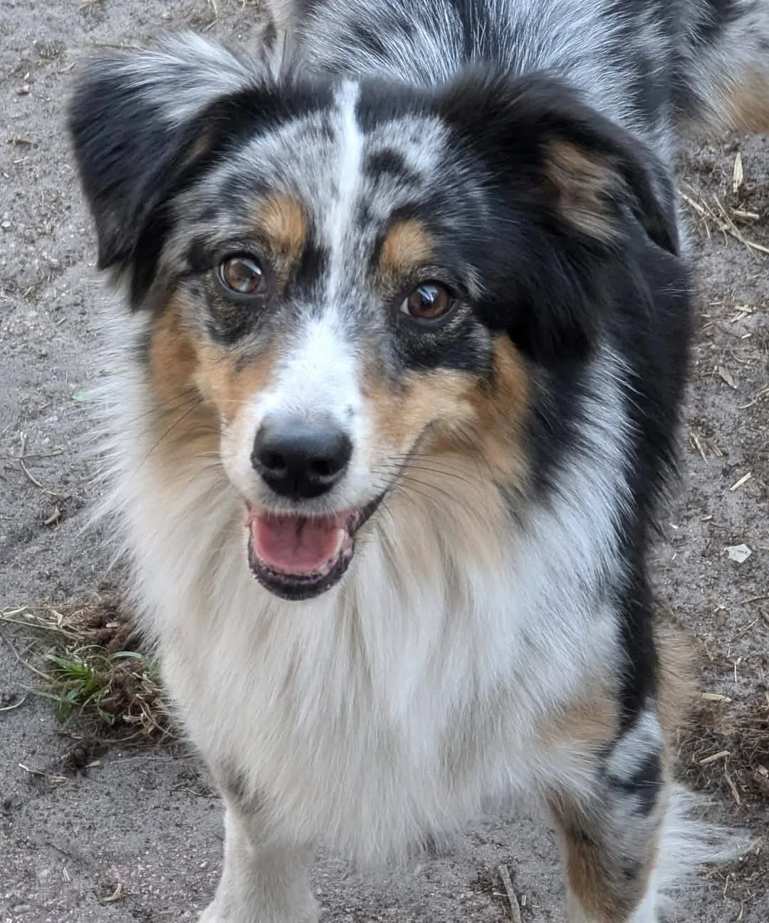 Millie headshot.jpg