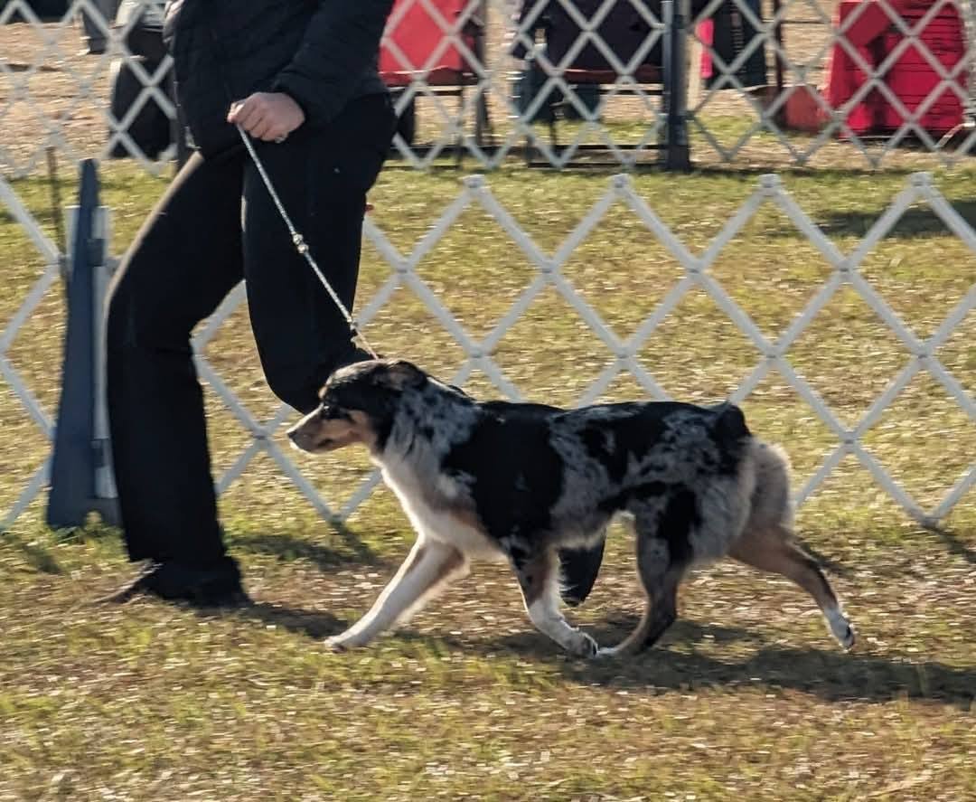 Millie move.jpg
