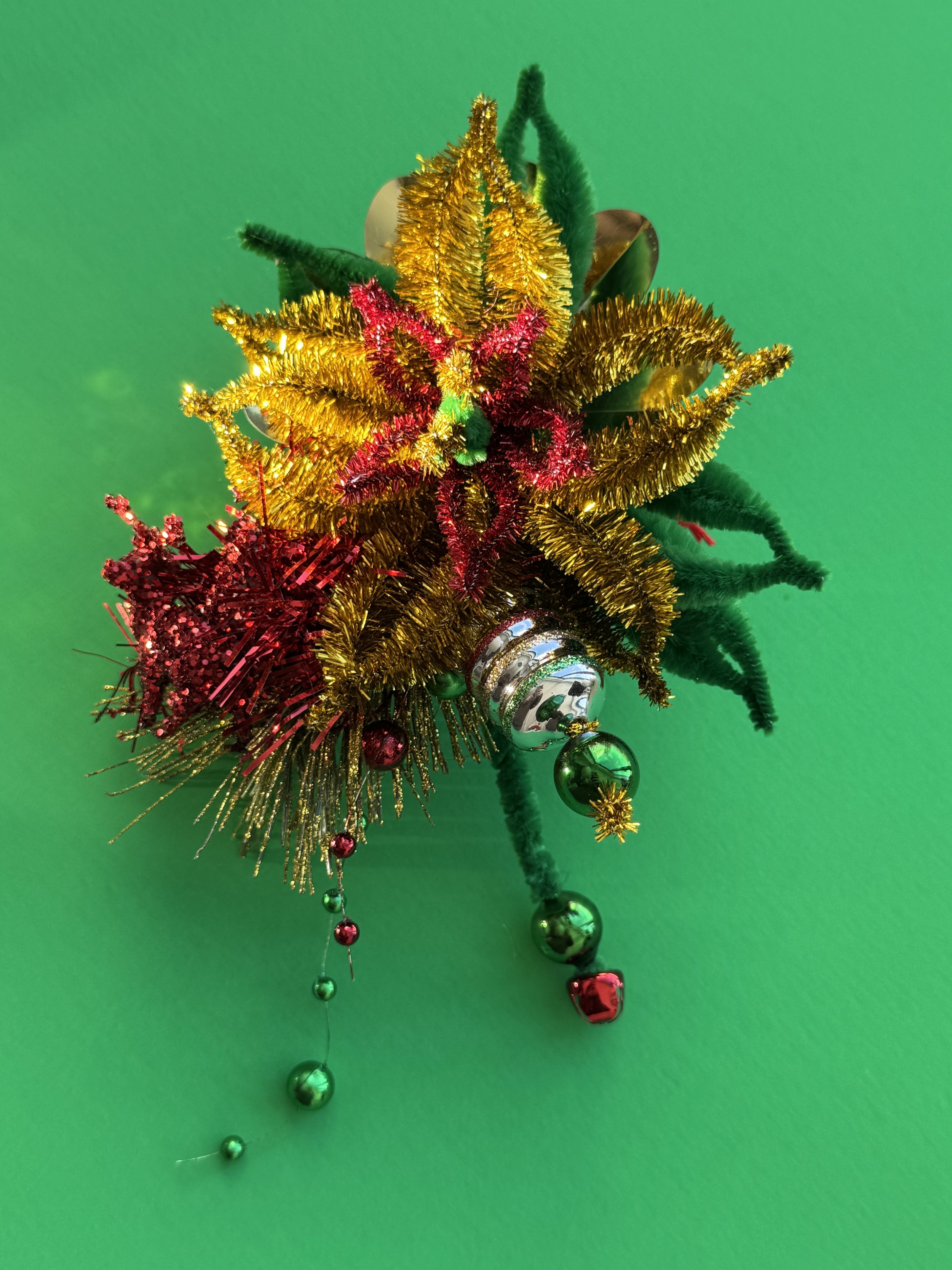 Pointsettia Who Stole Christmas