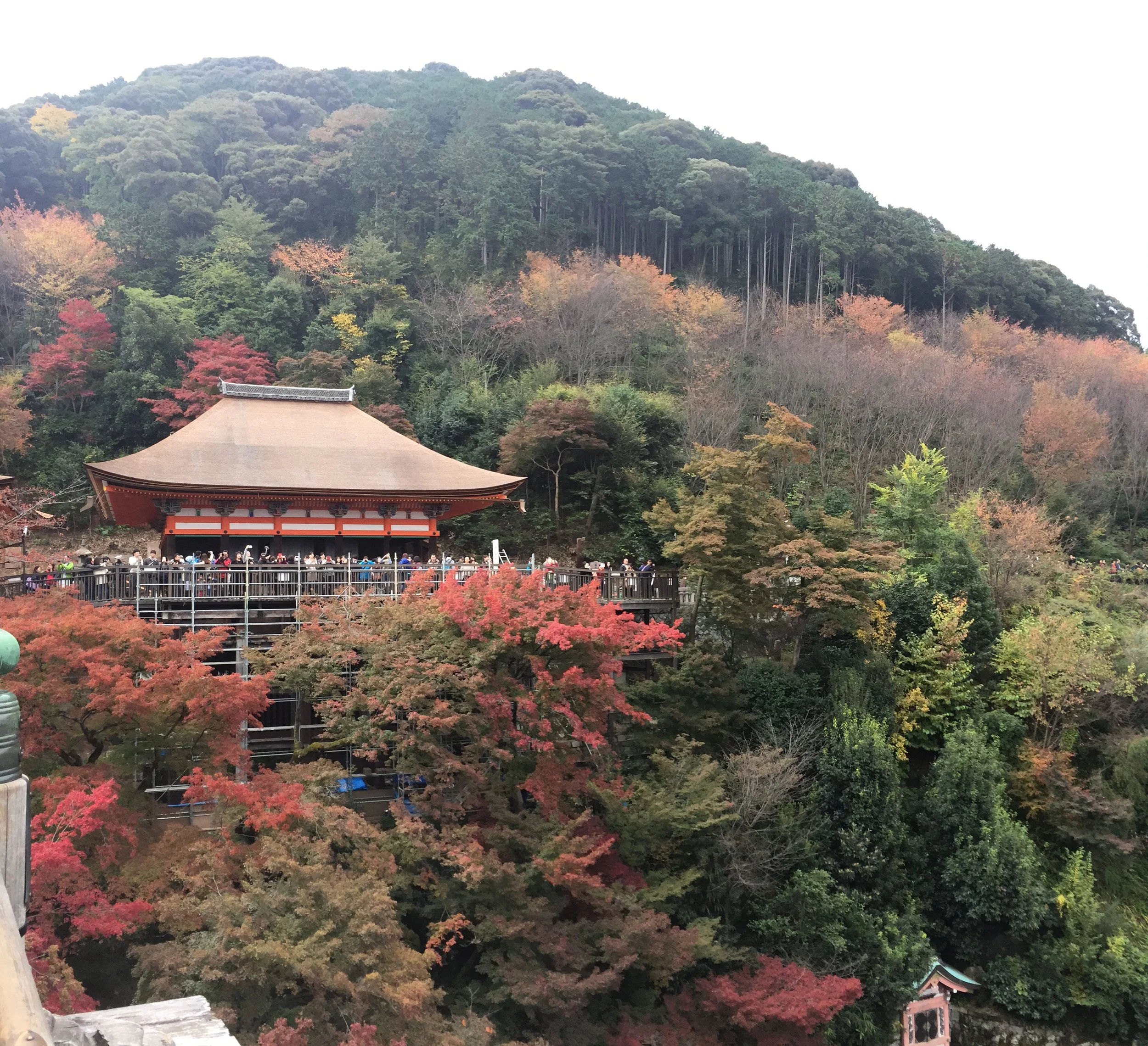 IMG_1989.jpeg