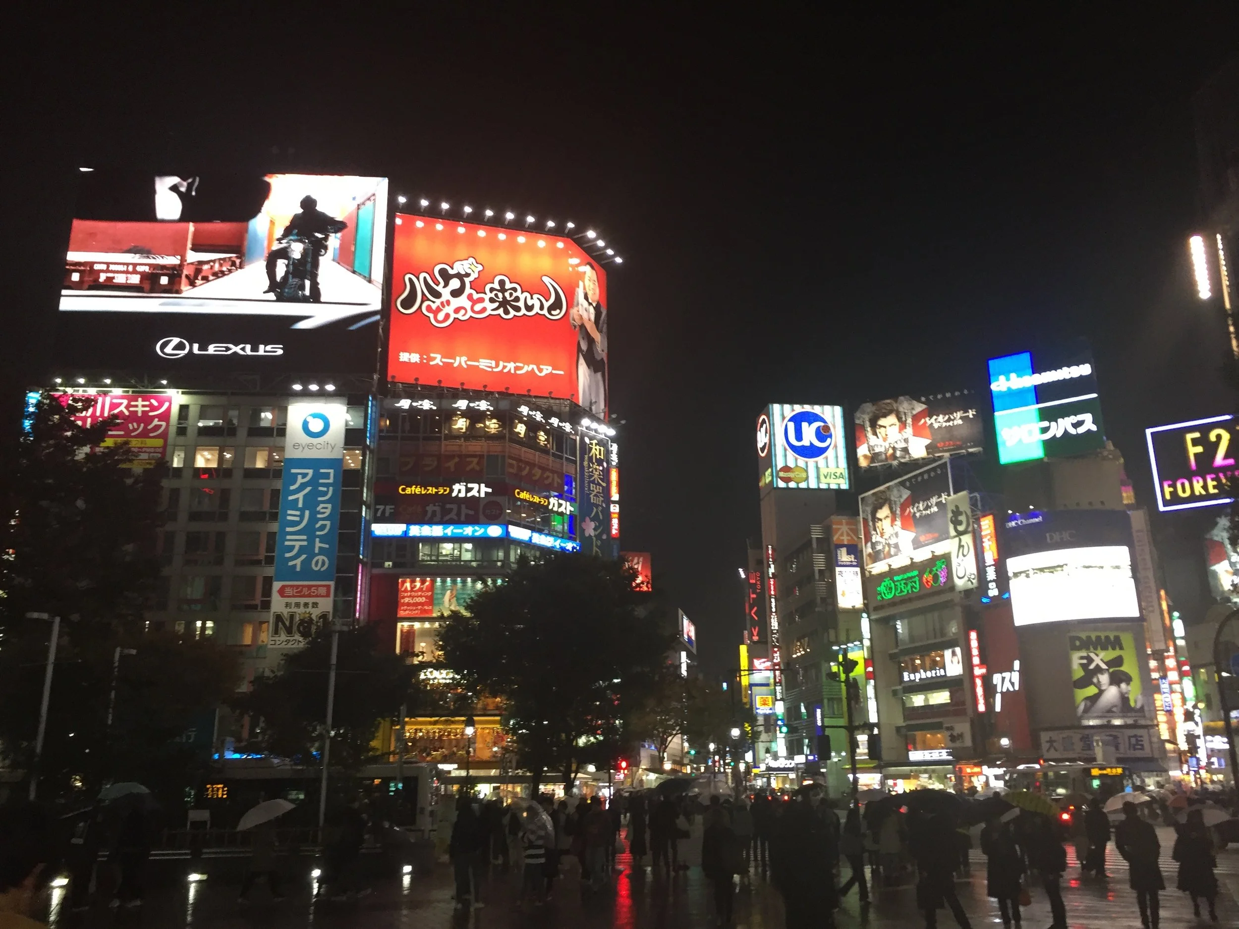IMG_1662.jpeg