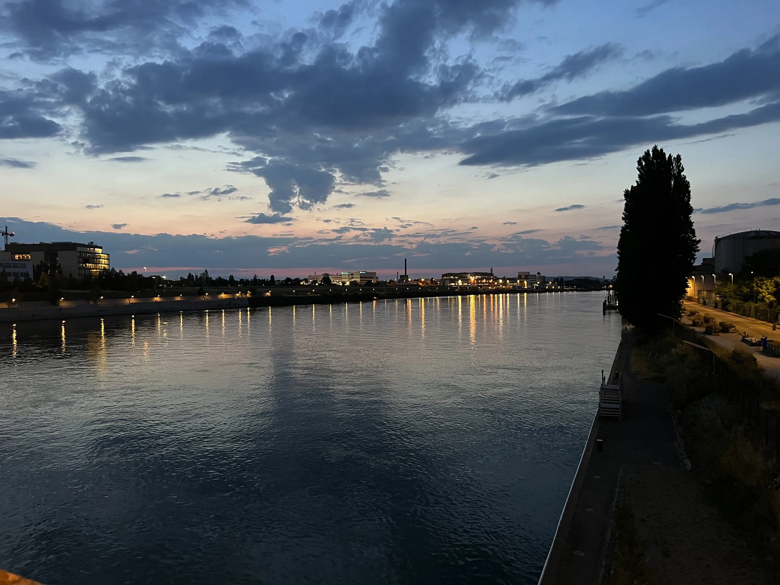 IMG_7169.jpeg