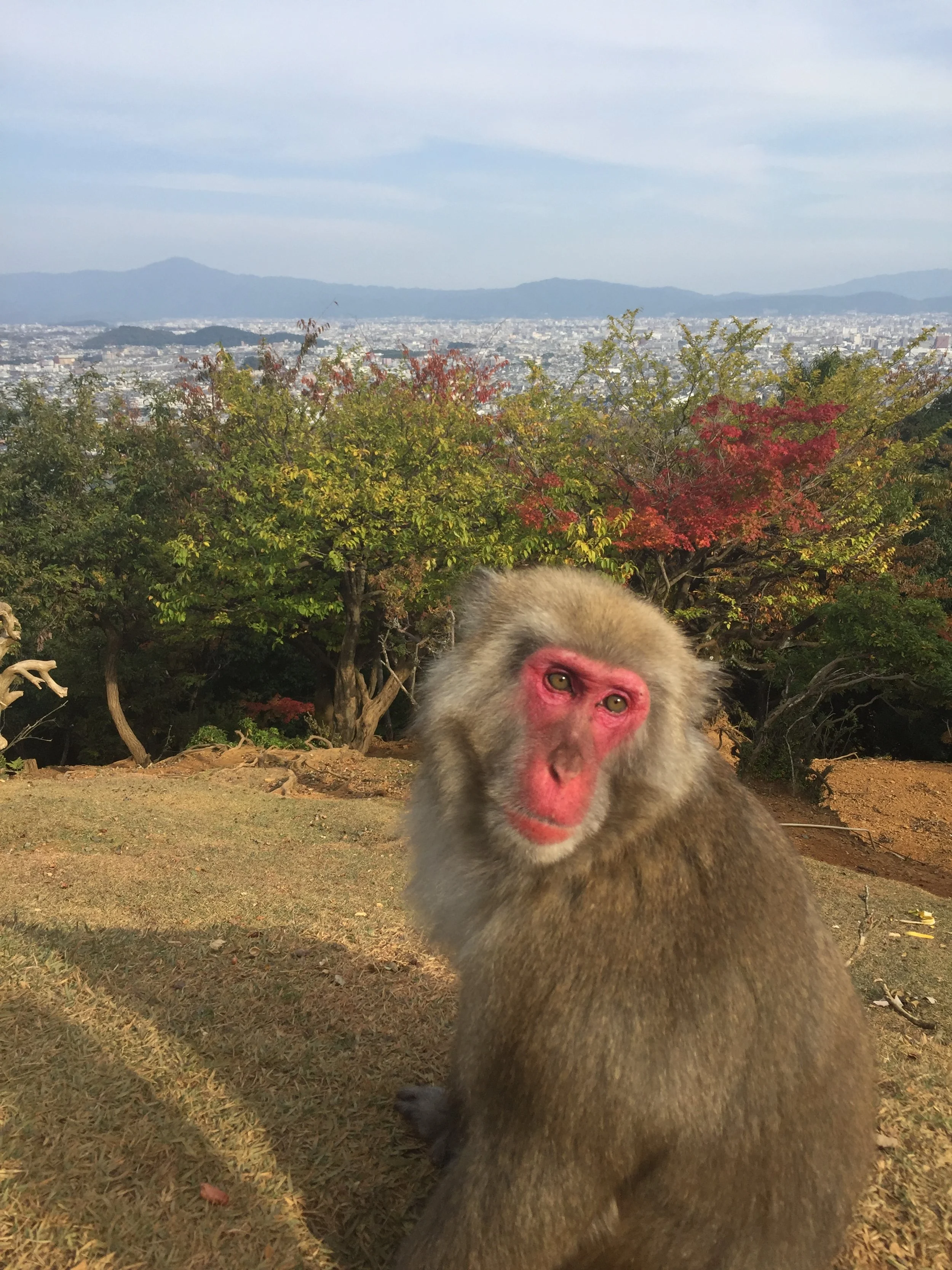 IMG_1909.jpeg