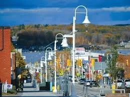 Street lined with white lamp posts, city buildings, and trees with fall foliage in the background.