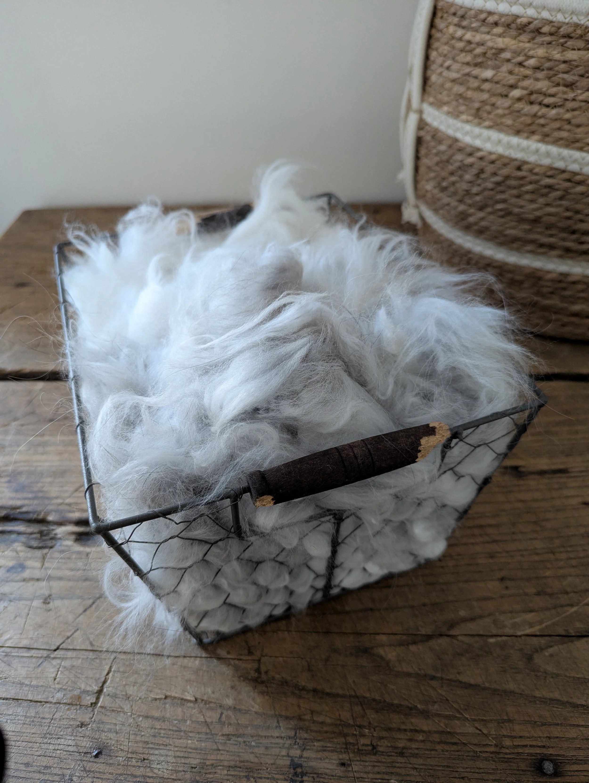 Angora Fiber - The Fuzz