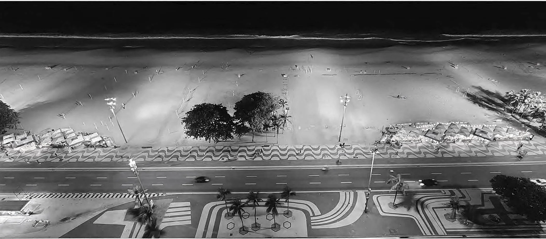 Bir Formülün Peşinde: Burle Marx ile Yüzleşme&nbsp;