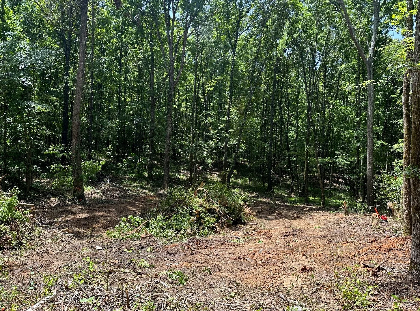 Storm Debris Clean Up