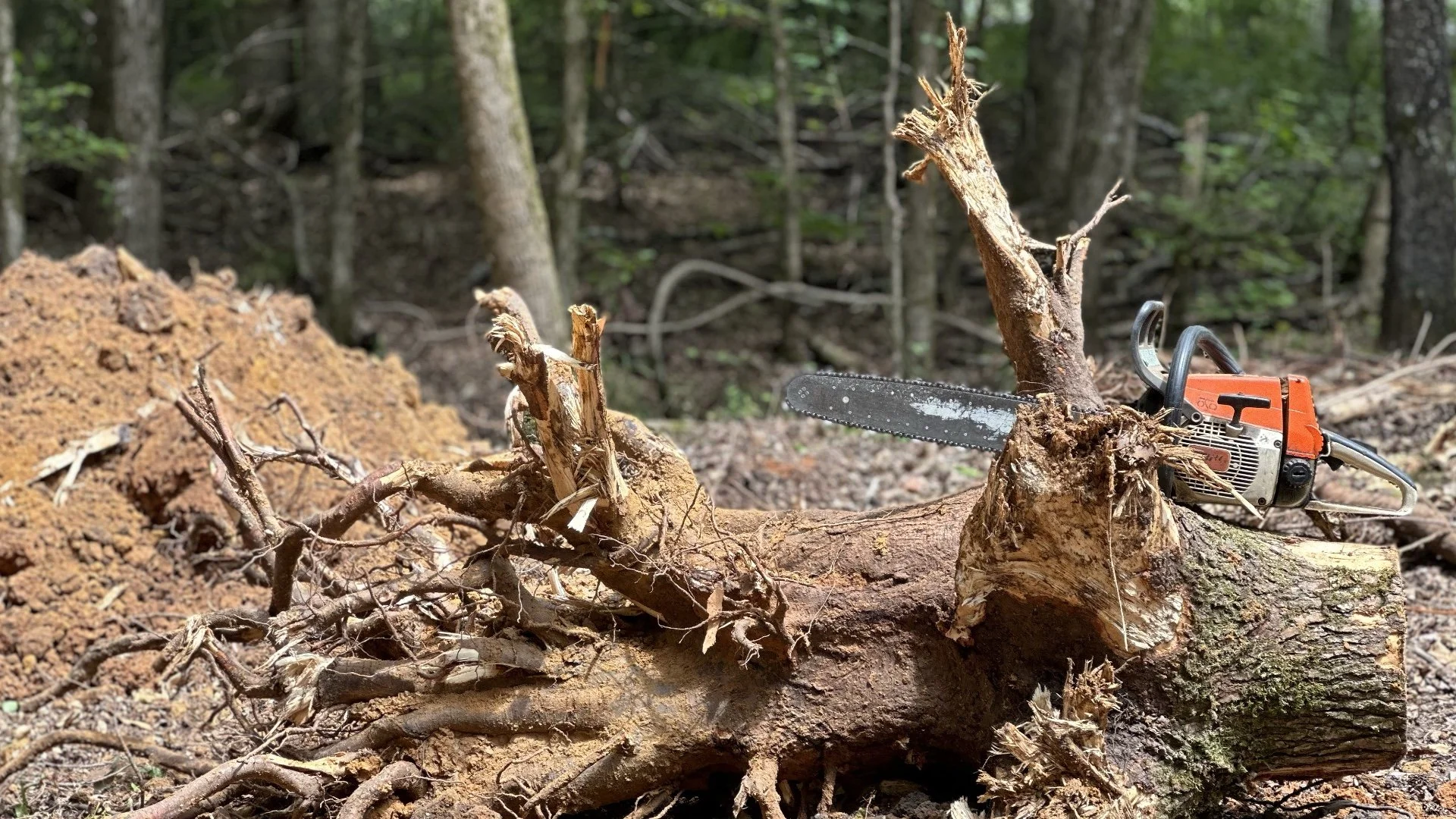 Stump Removal