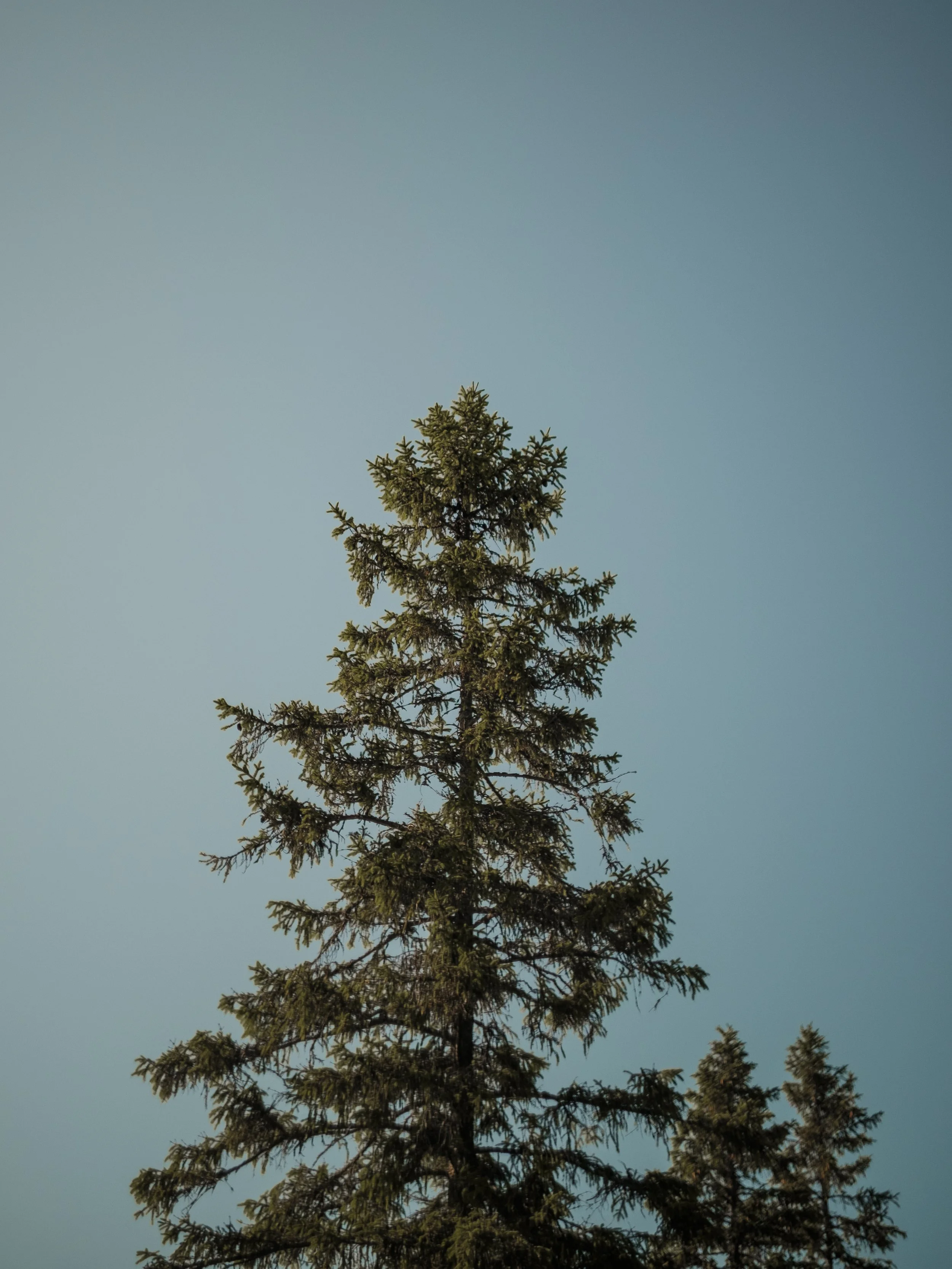 DSCF4142.jpg
