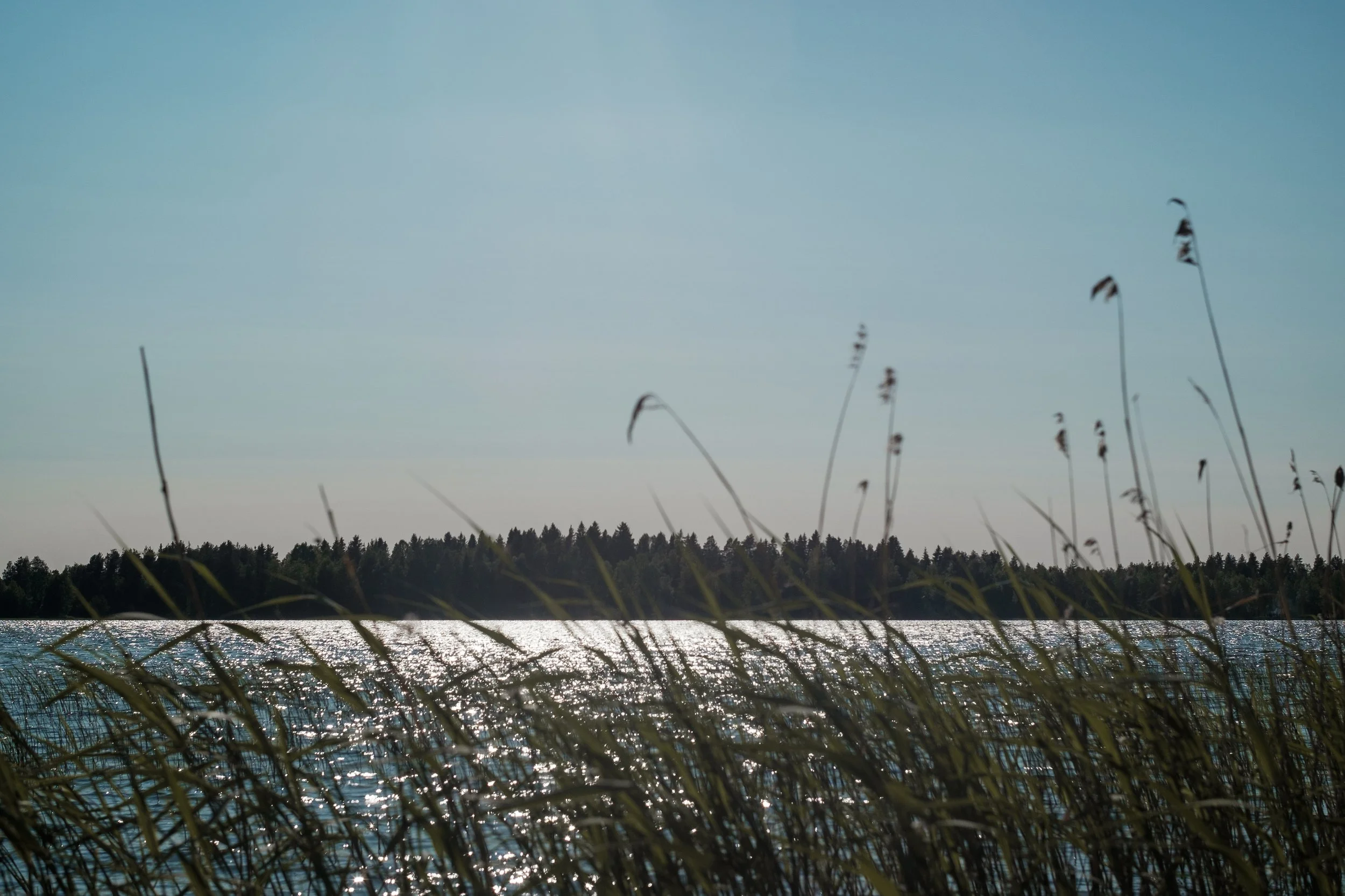 DSCF4149.jpg
