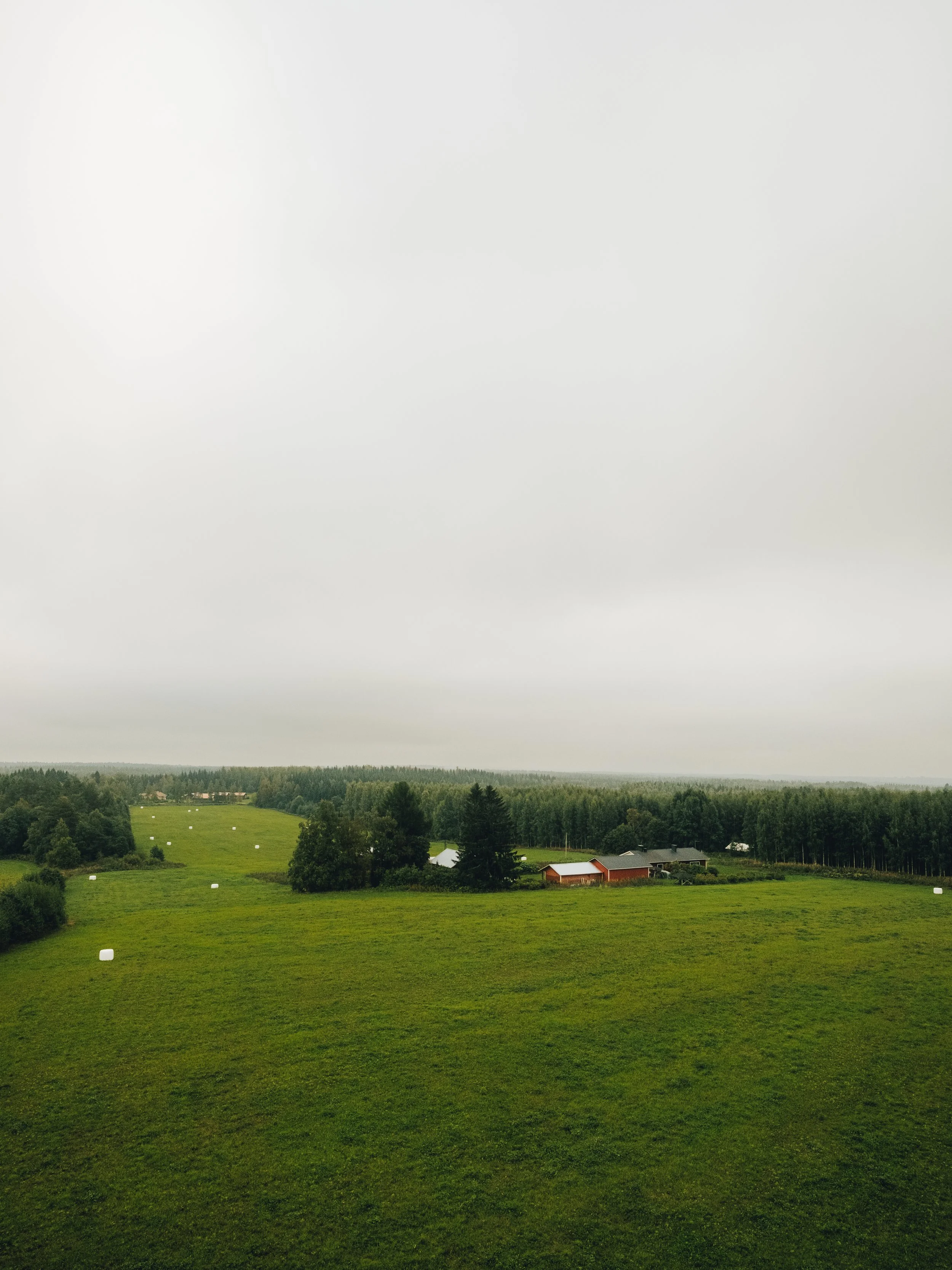 DSCF0537.jpg