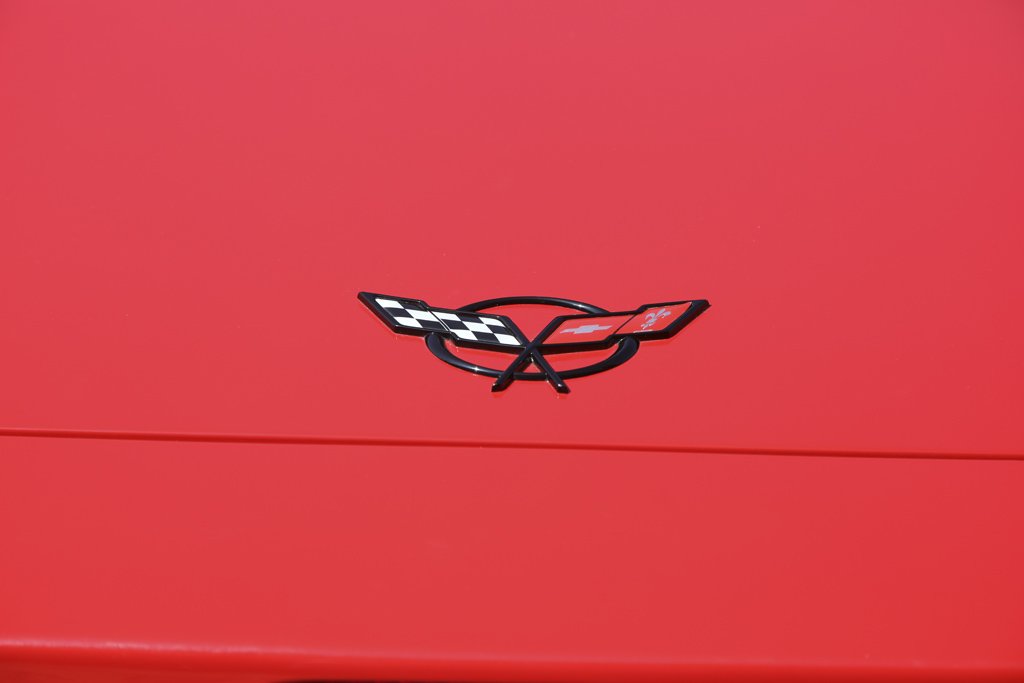 3E7A9572.jpg