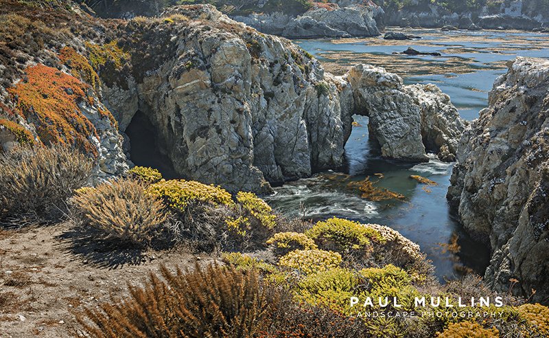 Point Lobos Arch