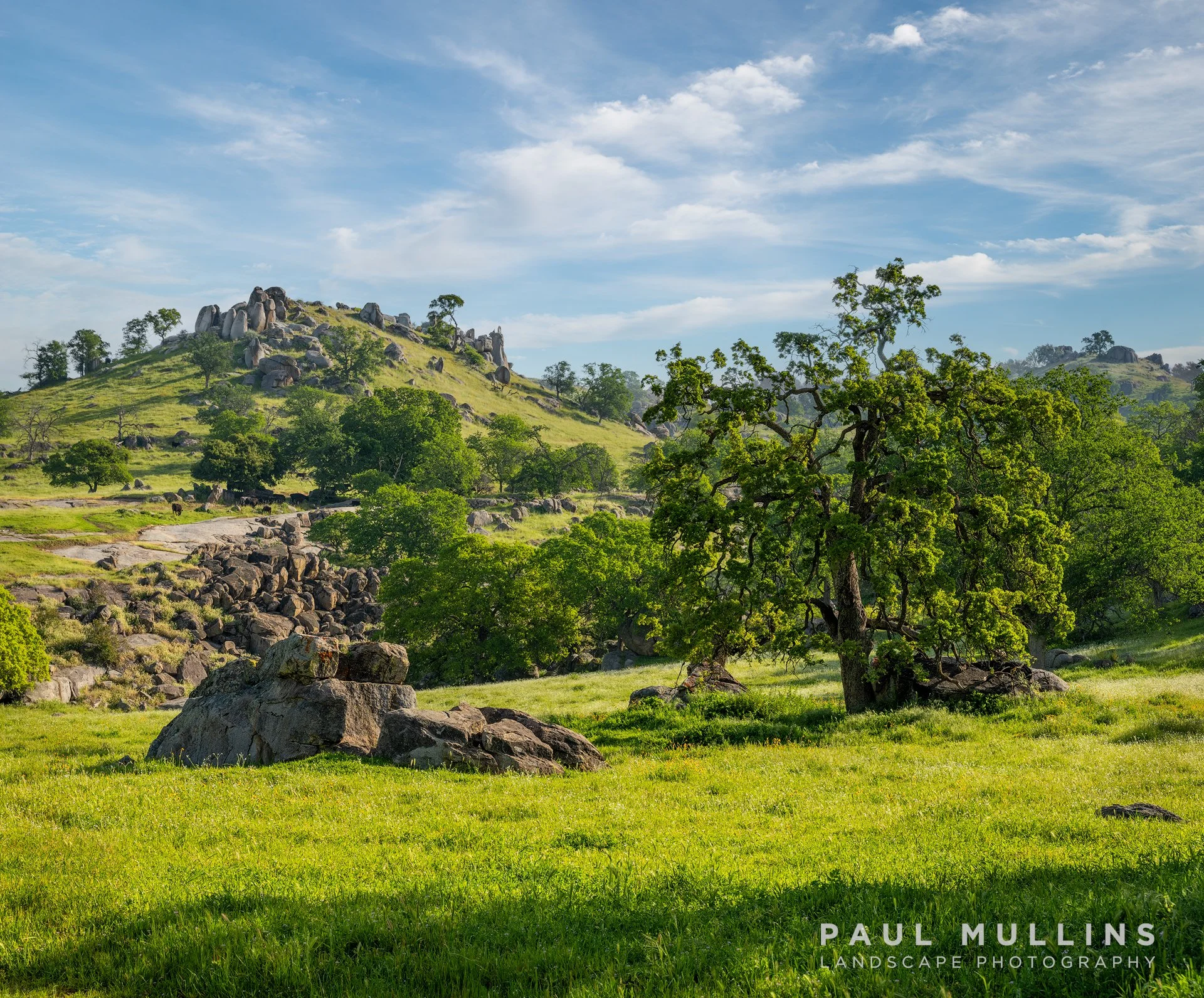 Crawford Foothills #3