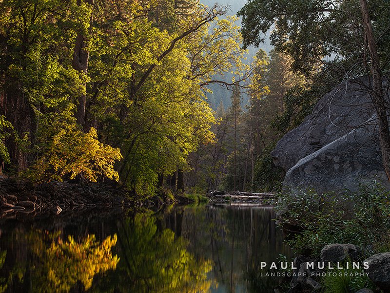Merced River Log Bridge