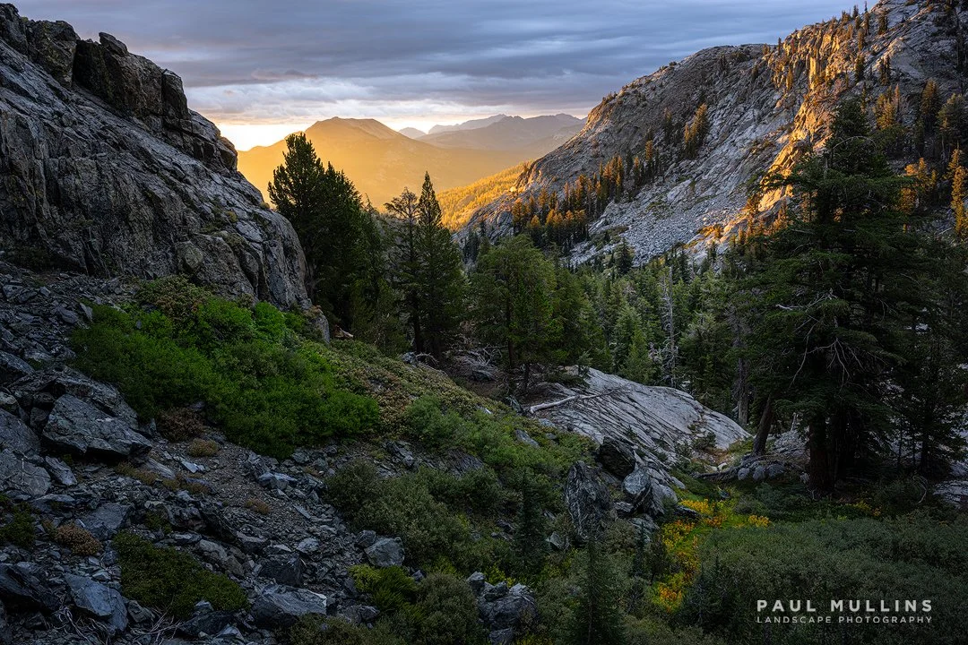 Mammoth Morning