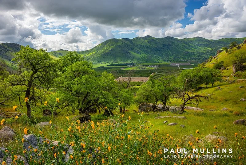 Glorious Valley