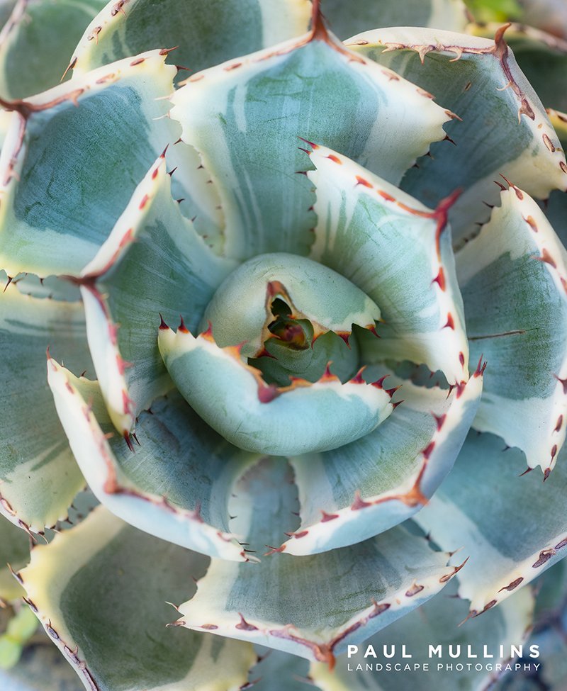 Propagate 7
