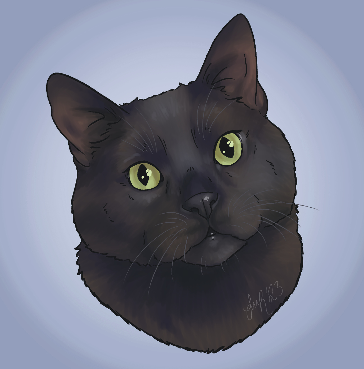 Ashley H 2-4-2023 Pt2.png