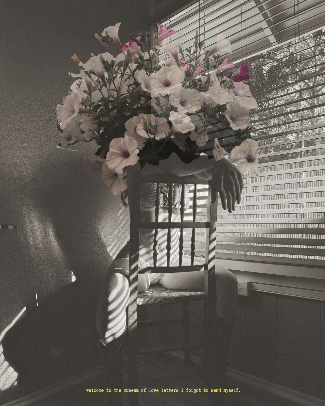 welcome to the mueseum of love letters I forgot to send myself..png