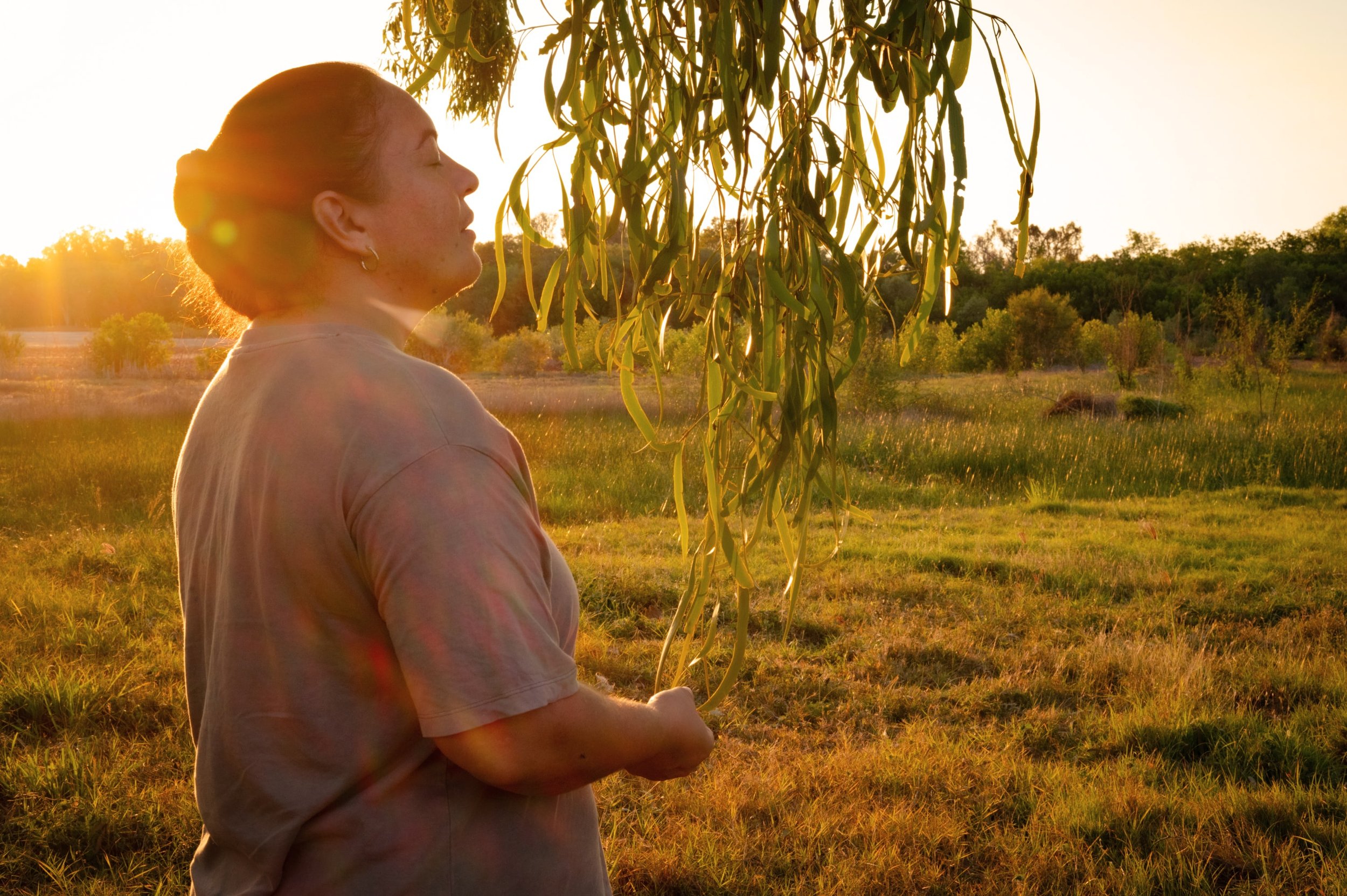 Woman standing in a grassy field at sunset, connecting with a eucalyptus tree.