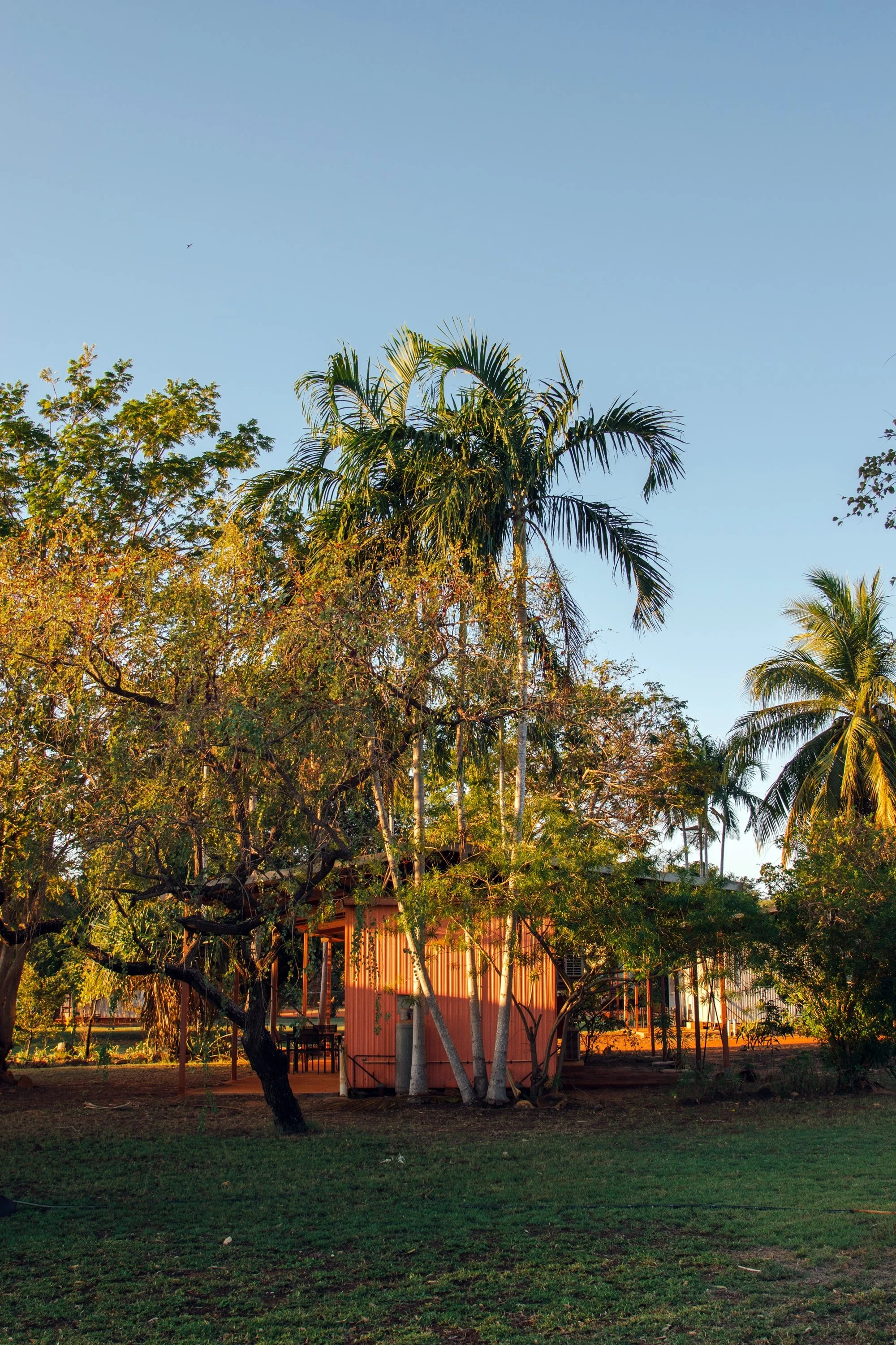 A small pink house surrounded by lush trees and palm trees, with a clear blue sky overhead during sunset.