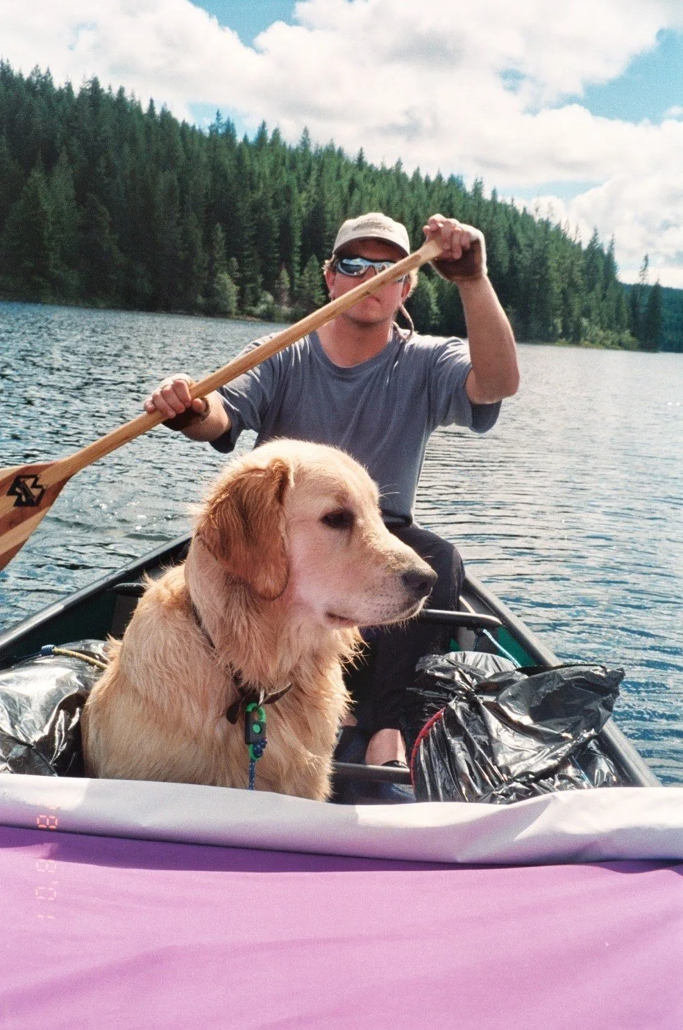 A golden retriever in a canoe on a lake