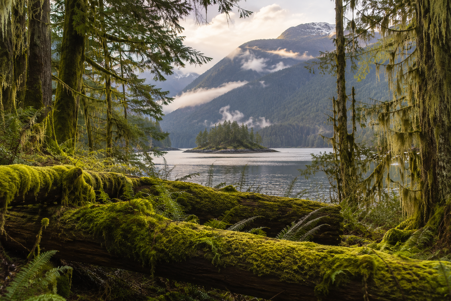 Why the qathet Canoe Route Is Unlike Any Other Paddling Experience on the Coast